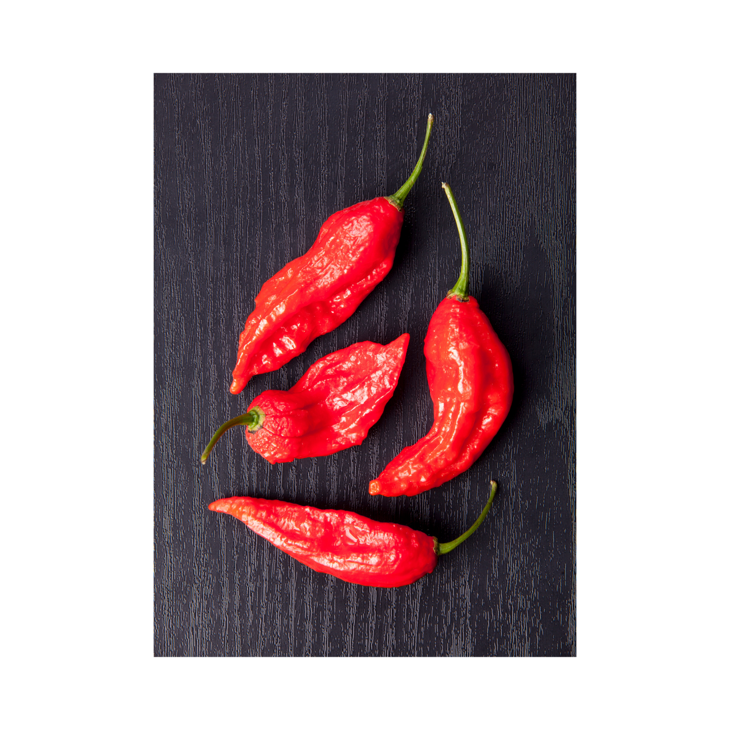 Pack of 15 Total Seeds - Carolina Reaper and Ghost Peppers - Hot Mix - Organic Non-GMO