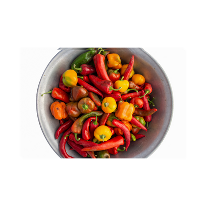 Pack of 10 Mixed Exotic Hot Pepper Seeds