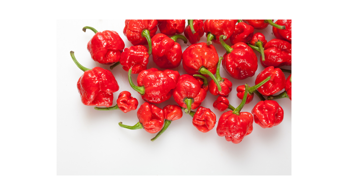 Scorpion and Ghost Pepper Seed, Organic non GMO
