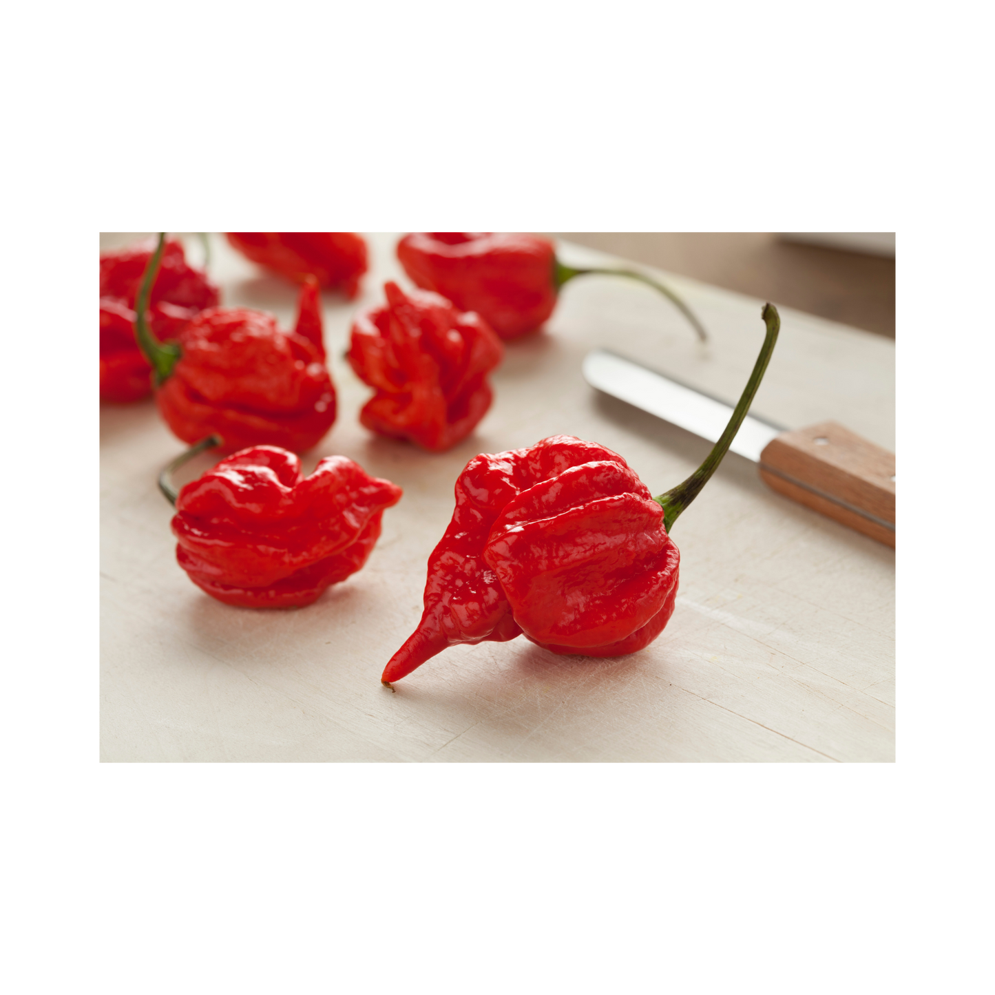 Pack of 10 Mixed Exotic Hot Pepper Seeds