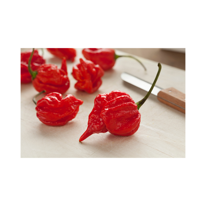 Pack of 10 Mixed Exotic Hot Pepper Seeds