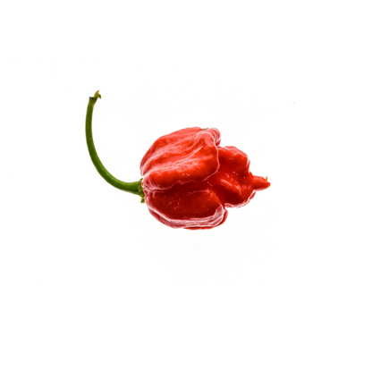 Pack of 10 Mixed Exotic Hot Pepper Seeds